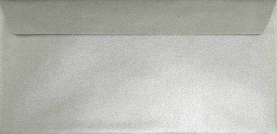 Koperty ozdobne perłowe DL HK srebrne Sirio Pearl Platinum 110g 25 szt. - na zaproszenia z okazji ślubu stalowej rocznicy ślubu Netuno