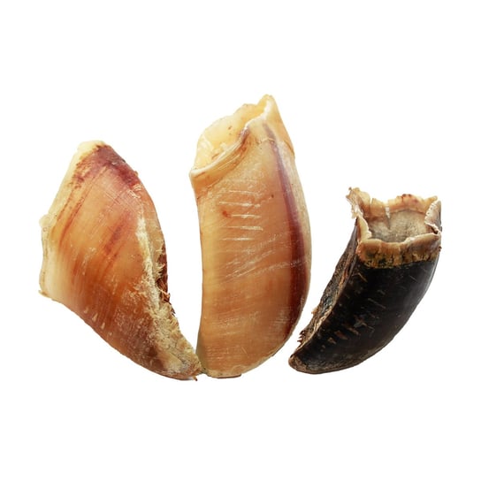 KOPYTA,RACICE WOŁOWE -1Kg ok.10szt. GRYZAK DLA PSA inna (Inny)