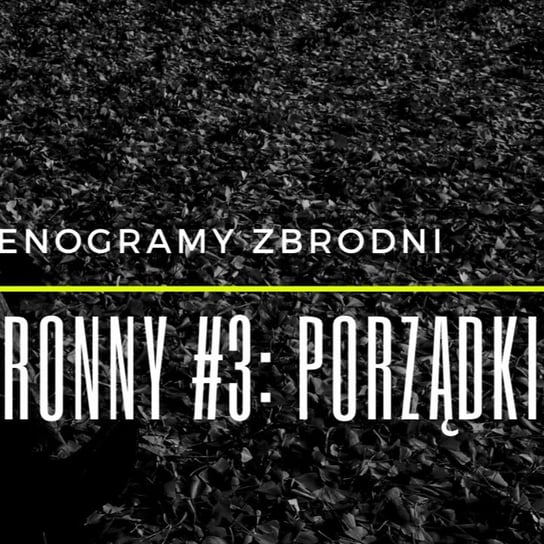 KORONNY #3: PORZĄDKI - Stenogramy zbrodni - podcast Wielg Piotr