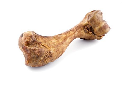 Kość szynkowa MACED, 1szt. Maced
