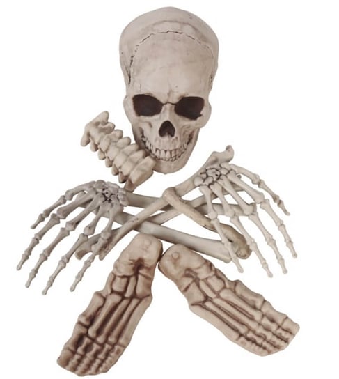 Kości Szkieletora, Ludzki Szkielet, 12 Cz. Inna marka