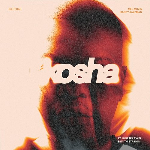 Kosha DJ Stoks, Mel Muziq, Happy Jazzman feat. Goitse Levati, Faith Strings