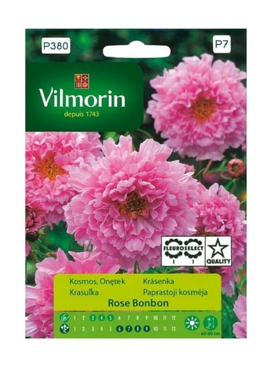 Kosmos pełny Rose Bonbon 0,5 g Vilmorin Inna marka