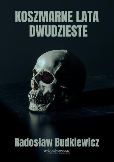 Koszmarne lata dwudzieste Budkiewicz Radosław
