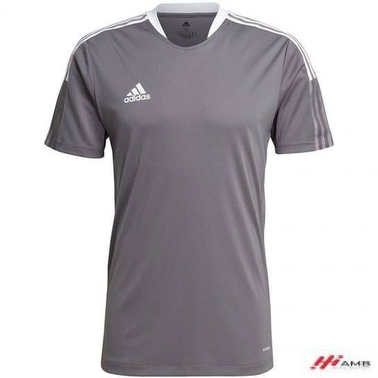 Koszulka adidas Tiro 21 Training Jersey M GM7587 r. GM7587*S Adidas