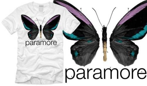 Koszulka Damska Paramore Brand New Eyes Butterfly S 