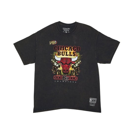 Koszulka Mitchell & Ness NBA Chicago Bulls Last Dance 6X Champs T-Shirt - M Mitchell & Ness