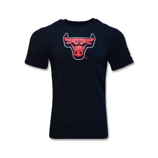 Koszulka Nike Nba Chicago Bulls Essential Dry-Fit T-Shirt Chrome Logo Black - Cz7245-010-S Nike