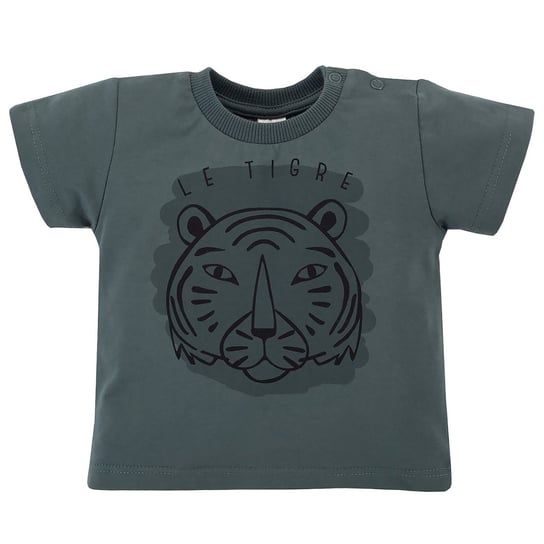 Koszulka t-shirt dla chłopca Le Tigre Pinokio - 104 Pinokio