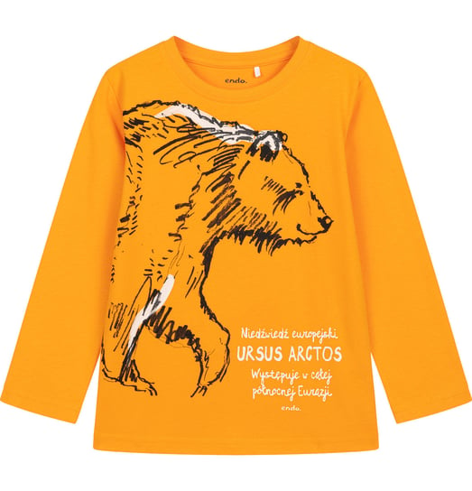 Koszulka T-shirt  z Długim Rękawem chłopięca dziecięca Niedźwiedź 110 Endo Endo