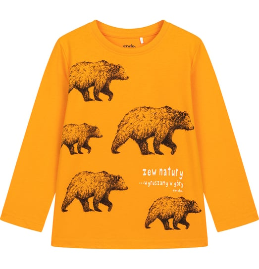 Koszulka T-shirt  z Długim Rękawem chłopięca dziecięca z niedźwiedziami 110 Endo Endo
