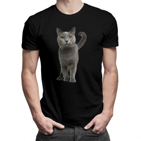 Koszulkowy, Koszulka męska, Kot brytyjski – męska koszulka z nadrukiem, rozmiar XL Koszulkowy