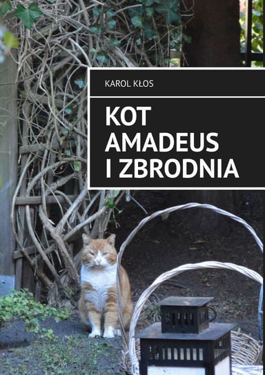 Kot Amadeus i zbrodnia Kłos Karol