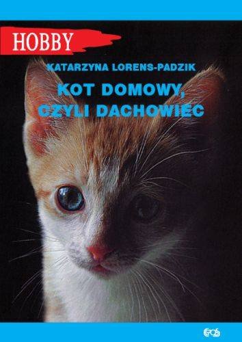 Kot domowy, czyli dachowiec Lorens-Padzik Katarzyna