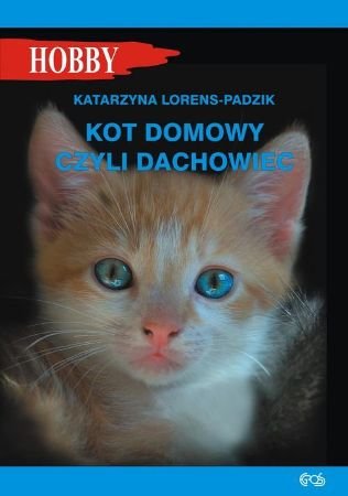 Kot domowy czyli dachowiec Lorens-Padzik Katarzyna