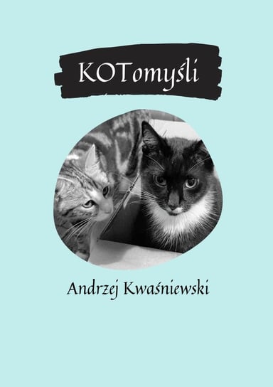 KOTomyśli Kwaśniewski Andrzej