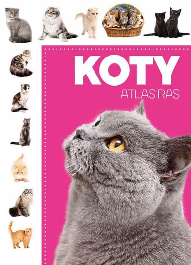 Koty. Atlas ras Opracowanie zbiorowe