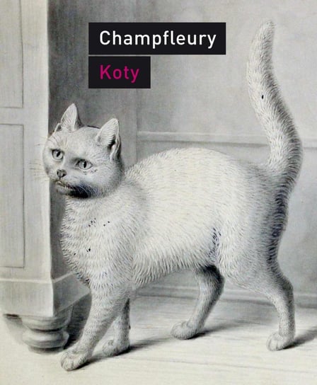 Koty. Historia, zwyczaje, obserwacje, anegdoty Champfleury Jules