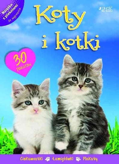 Koty i kotki. Książka z plakatami Opracowanie zbiorowe