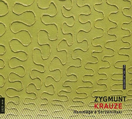 Krauze: Hommage Strzemiński Various Artists