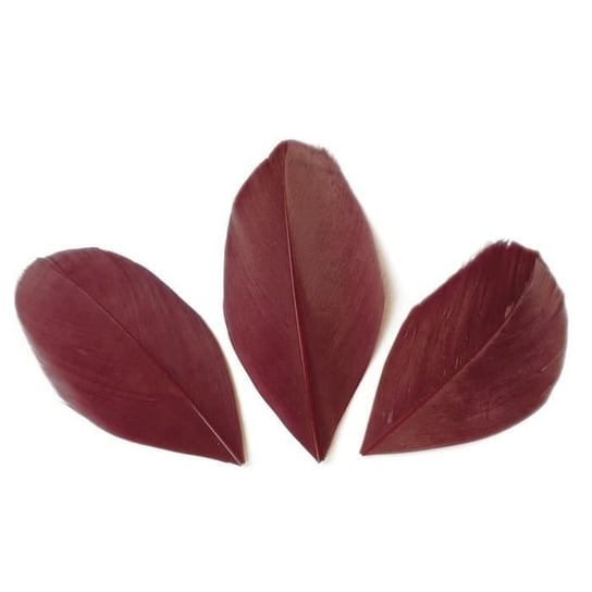 Kreatywne nasiona - 50 ciętych piór - Bordeaux czerwone 6 cm Inna marka