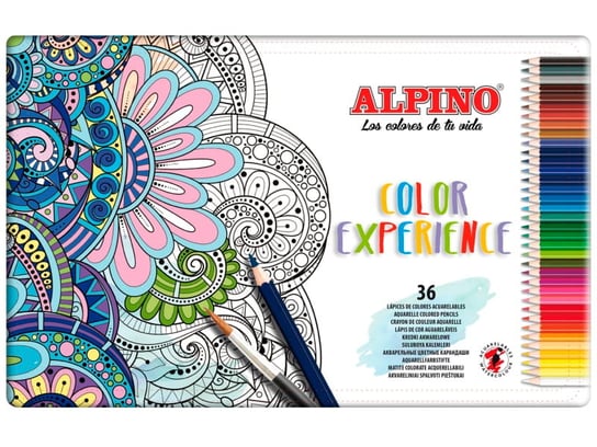 Kredki akwarelowe Alpino Experience w pudełku 36 sztuk Alpino