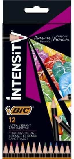 Kredki Ołówkowe Bic Intensity Premium 12 Kolorów Pudełko BIC