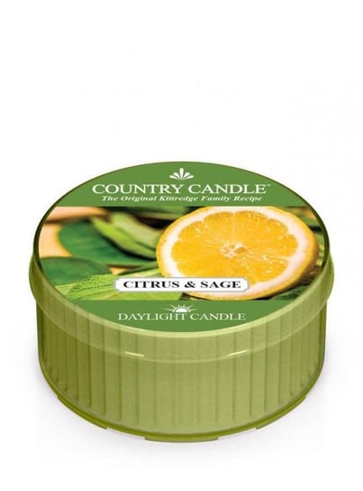 Kringle Candle, Citrus and Sage, świeca zapachowa daylight, 1 knot Kringle Candle