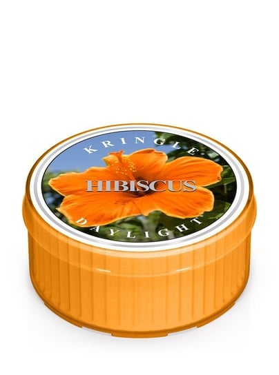 Kringle Candle, Hibiscus, świeca zapachowa daylight, 1 knot Kringle Candle