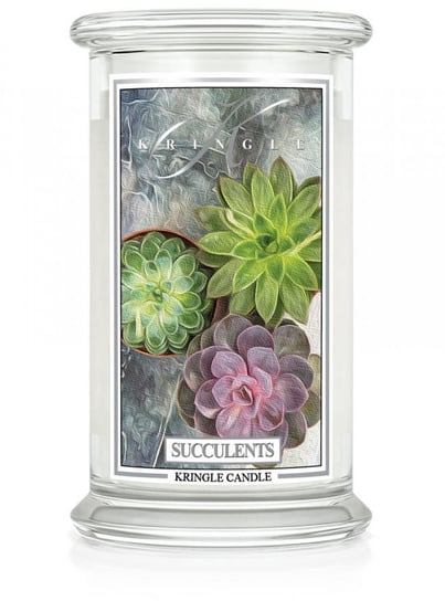 Kringle Candle - Succulents - Duży, Klasyczny Słoik (623G) Z 2 Knotami Kringle Candle