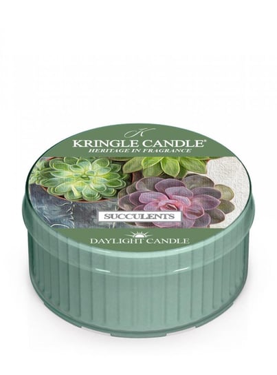 Kringle Candle - Succulents - Świeczka Zapachowa - Daylight (42G) Kringle Candle