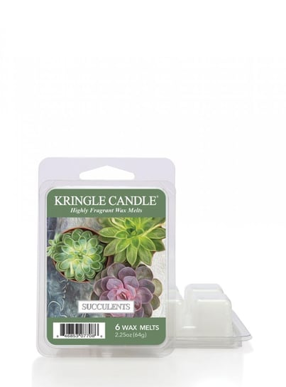 Kringle Candle - Succulents - Wosk Zapachowy "Potpourri" (64G) Kringle Candle