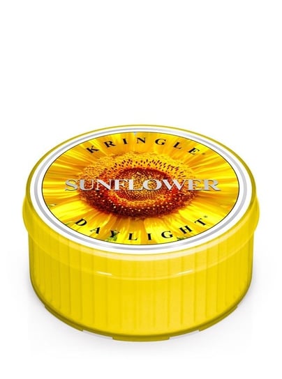 Kringle Candle, Sunflower Sunrise, świeca zapachowa daylight, 1 knot Kringle Candle