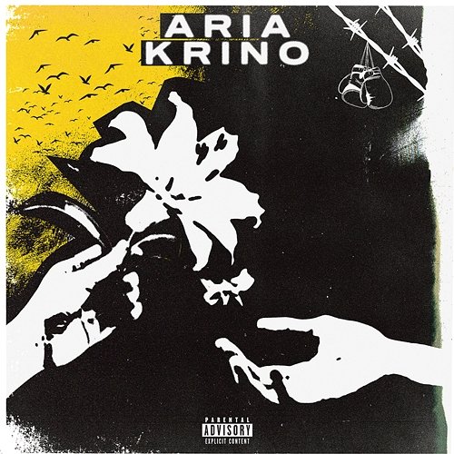 Krino DJ.Silence, Aria