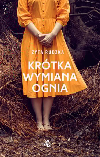 Krótka wymiana ognia Rudzka Zyta