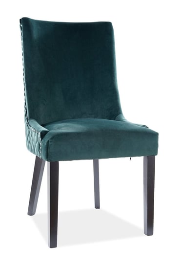 Krzesło Leon Velvet Czarne / Bluvel 78 Zielone Komfort