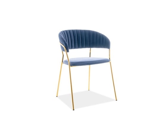 Krzesło metalowe Złote/Granatowe tkanina-aksamit Signal
