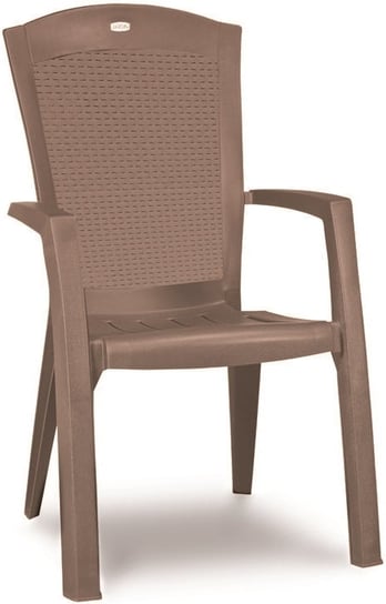 Krzesło ogrodowe Minnesota Dining, cappuccino, 65x61x99 cm Allibert
