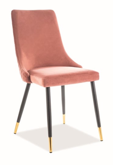 Krzesło Piano Velvet Czarno-Złote / Bluvel 52 Róż Antyczny Komfort