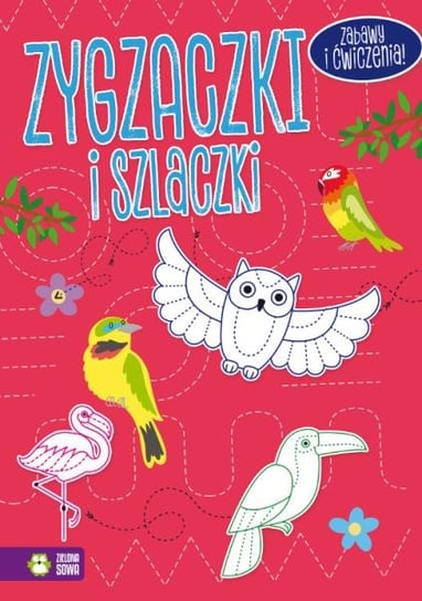 Książka Zygzaczki I Szlaczki (Różowe) Inna marka