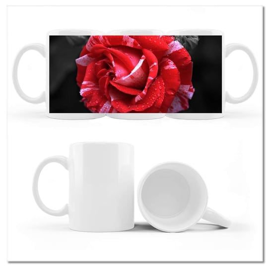 Kubek ceramiczny, Biało-czerwona róża, 330 ml, ZeSmakiem, biały ZeSmakiem