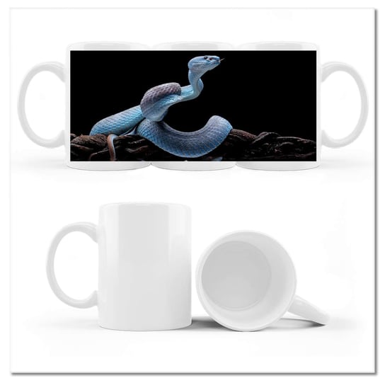 Kubek ze zdjęciem Niebieska żmija wąż ZeSmakiem