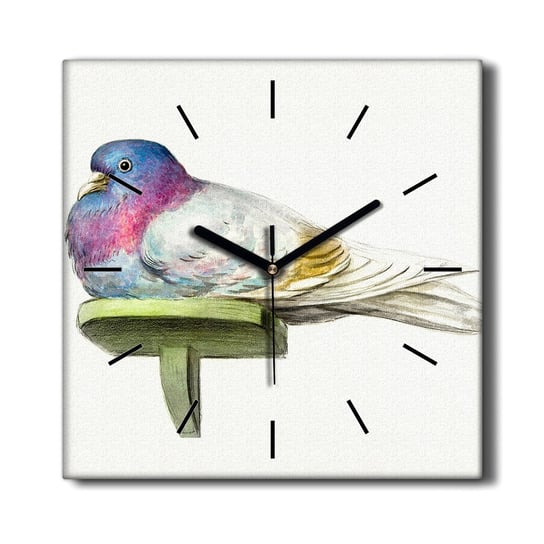 Kuchenny zegar na płótnie Zwierzę ptak gołąb 30x30, Coloray Coloray