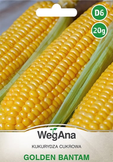 Kukurydza cukrowa Golden Bantam 20g nasiona - WegAna WegAna