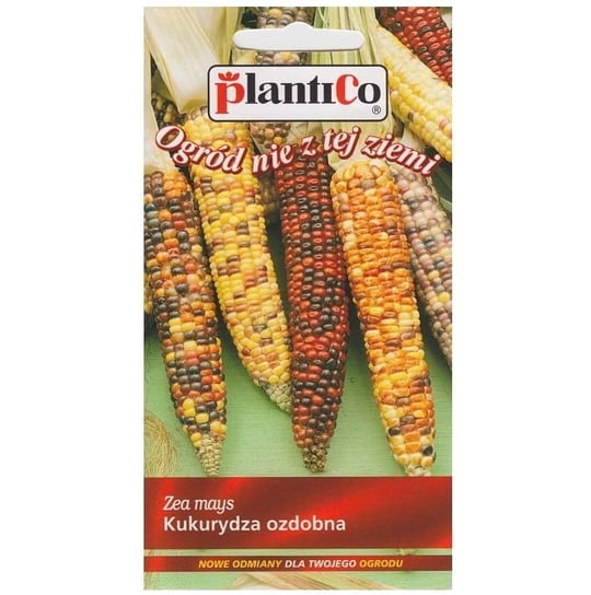 KUKURYDZA OZDOBNA MIX kolorowa, nasiona 4g PlantiCo
