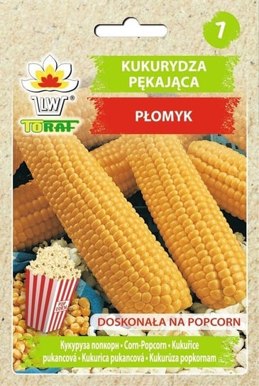 Kukurydza pękająca PŁOMYK (na popcorn)
	Zea mays L. convar. microsperma Koern. Toraf