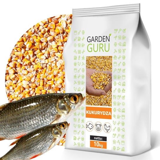 Kukurydza pokarm karma DLA RYB zanęta na ryby ziarno 10kg GardenGuru