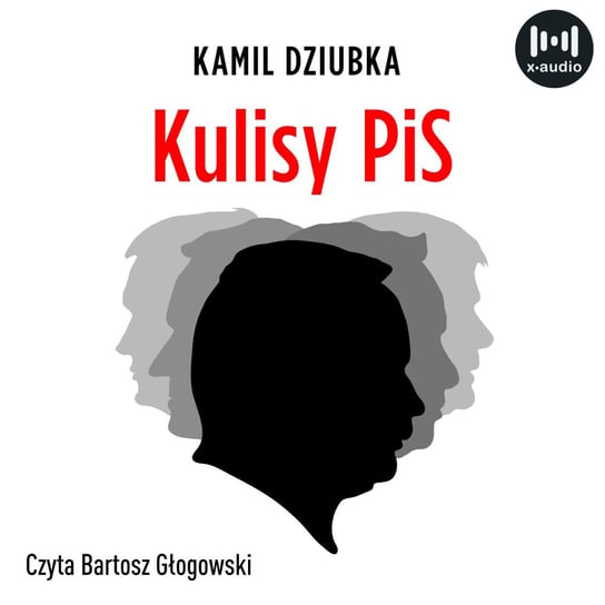 Kulisy PiS Kamil Dziubka