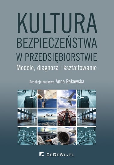 Kultura bezpieczeństwa w przedsiębiorstwie. Modele, diagnoza i kształtowanie - ebook PDF Rakowska Anna