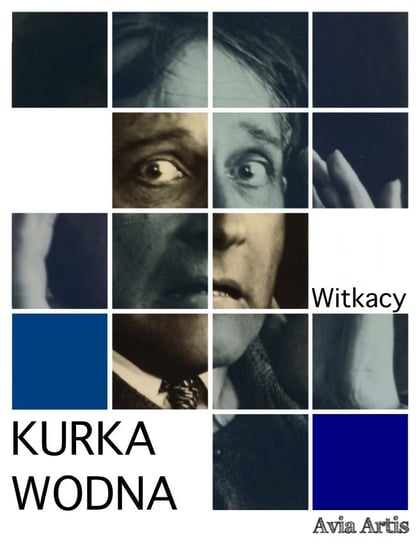 Kurka Wodna Witkiewicz Stanisław Ignacy